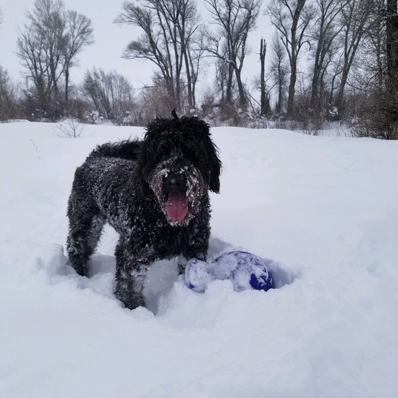 Meet your Posher, Kelly - Picture 1 of 1